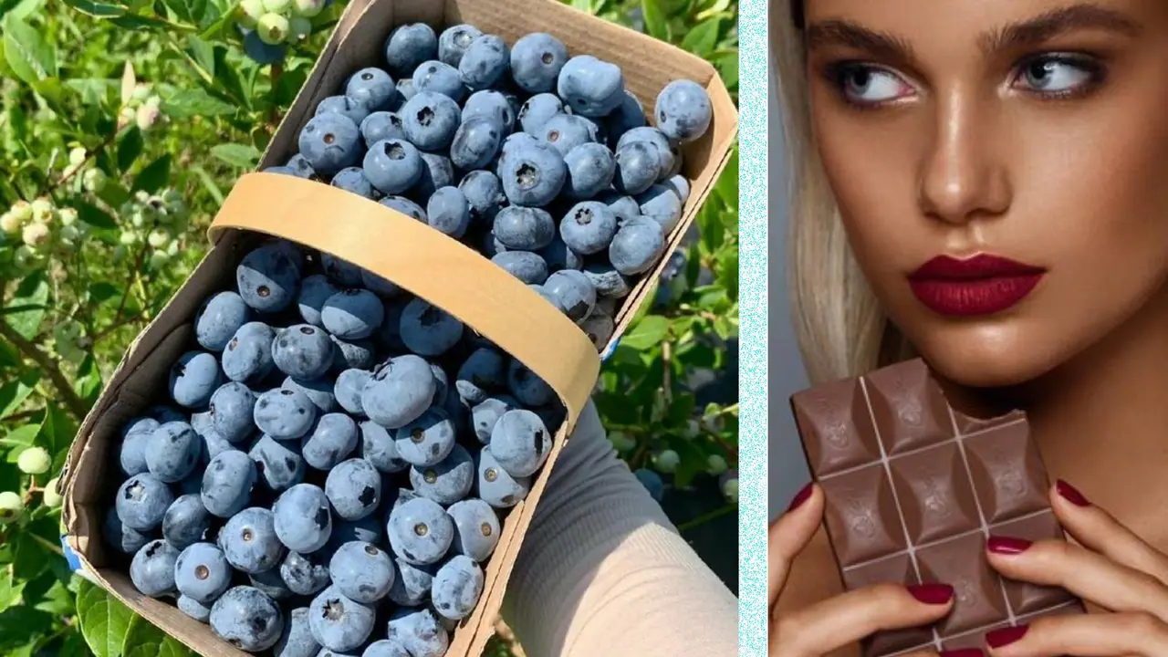 Foods to Boost Happiness Levels Foods to Boost Happiness Levels