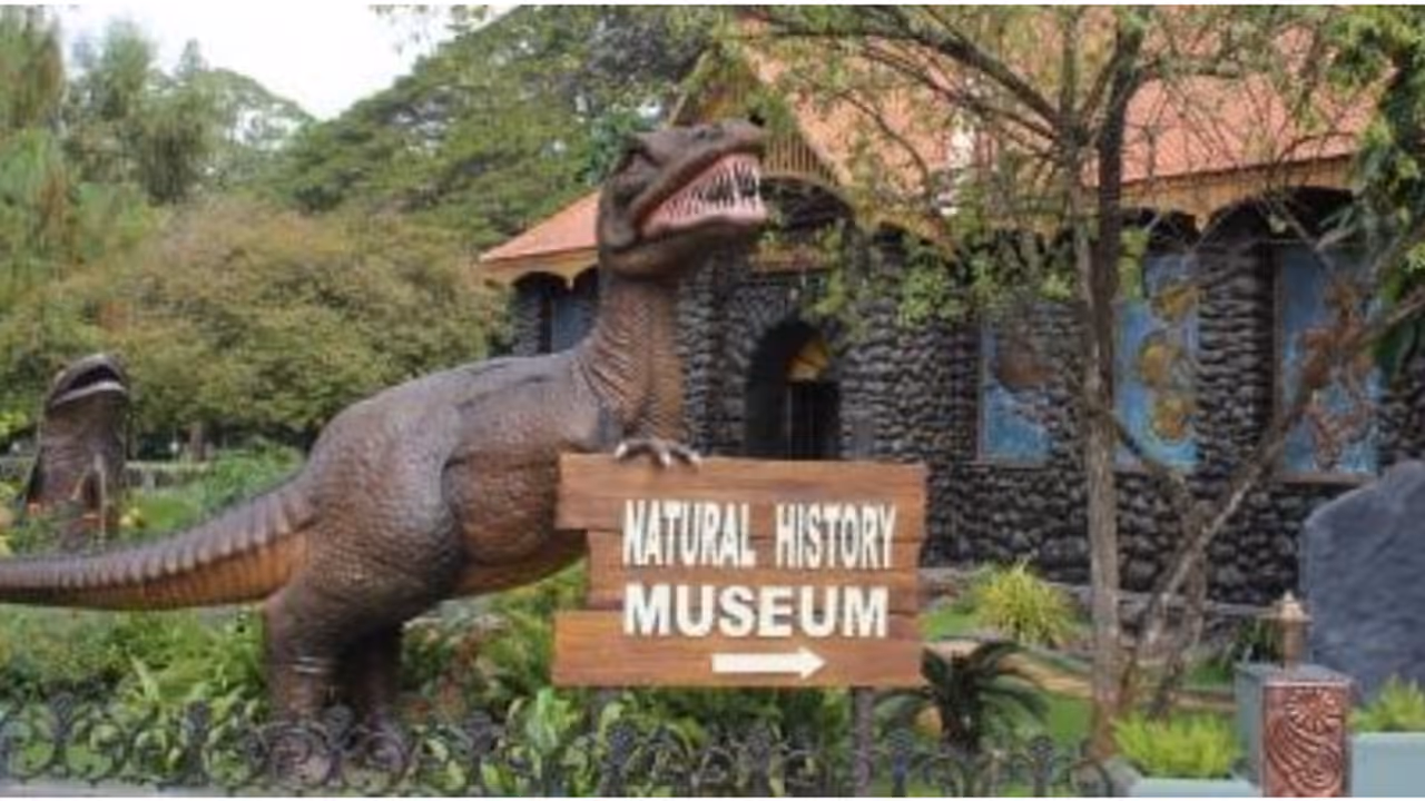 Natural History Museum