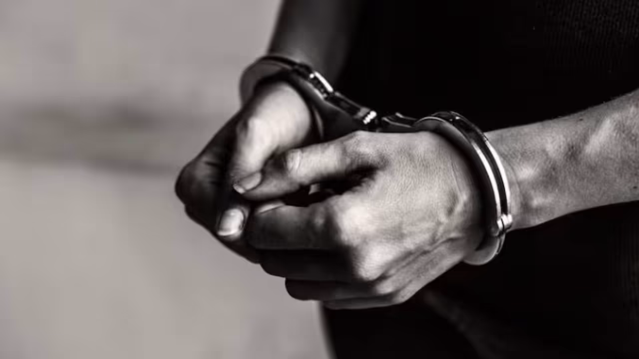 credit card fraud arrest credit card fraud arrest