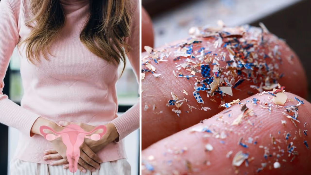 microplastics in human reproductive fluids 