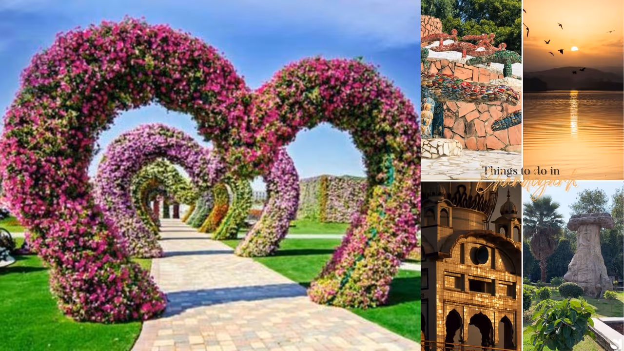 handy travel guide for chandigarh