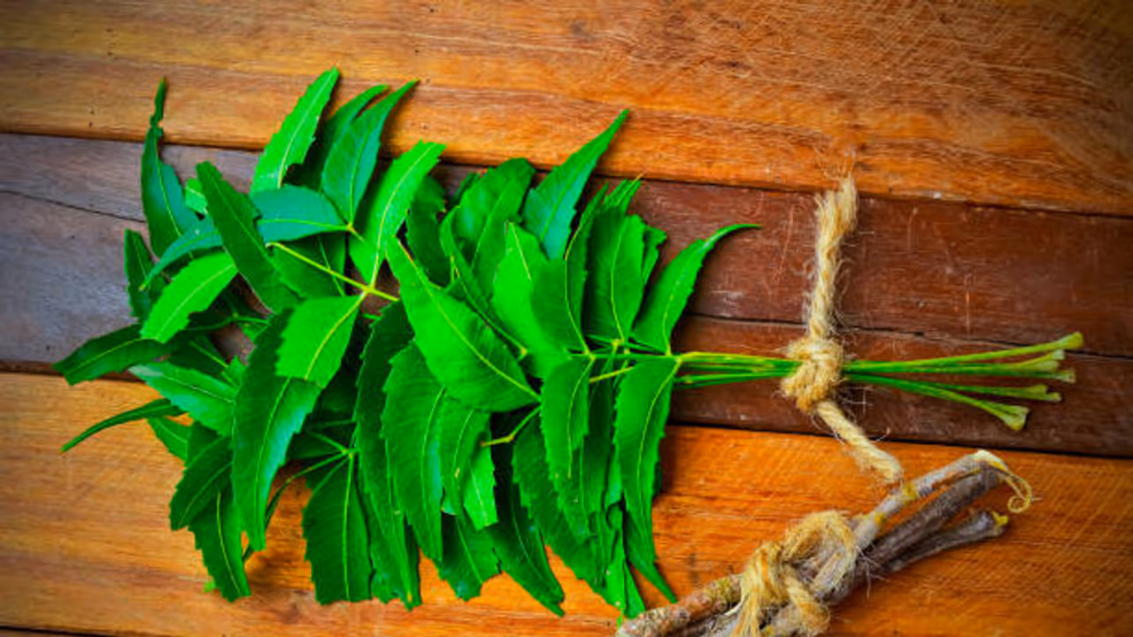 Neem Leaf for control Blood Sugar