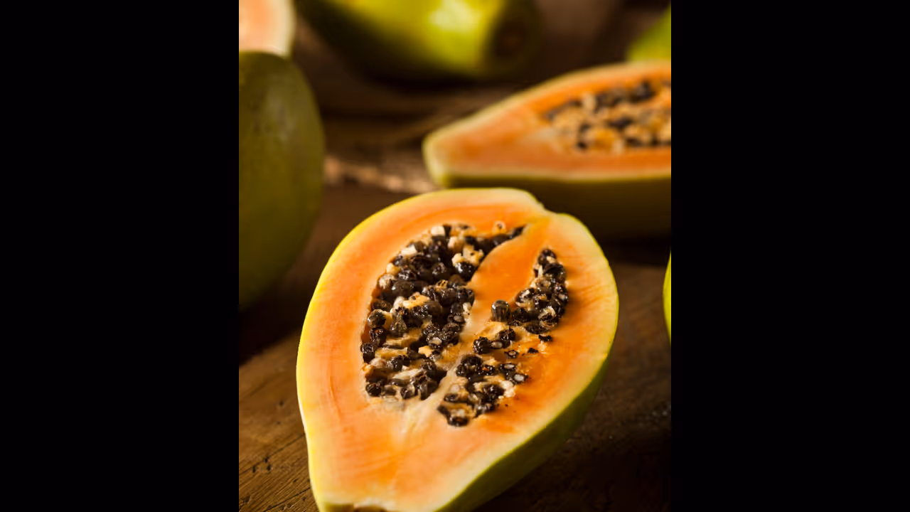 papaya papaya