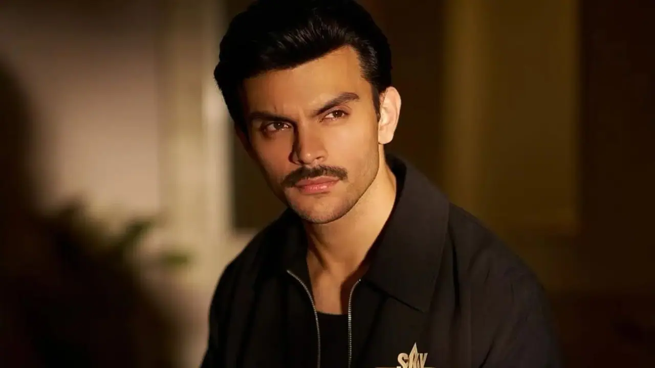 कौन हैं वीर पहाड़िया?
