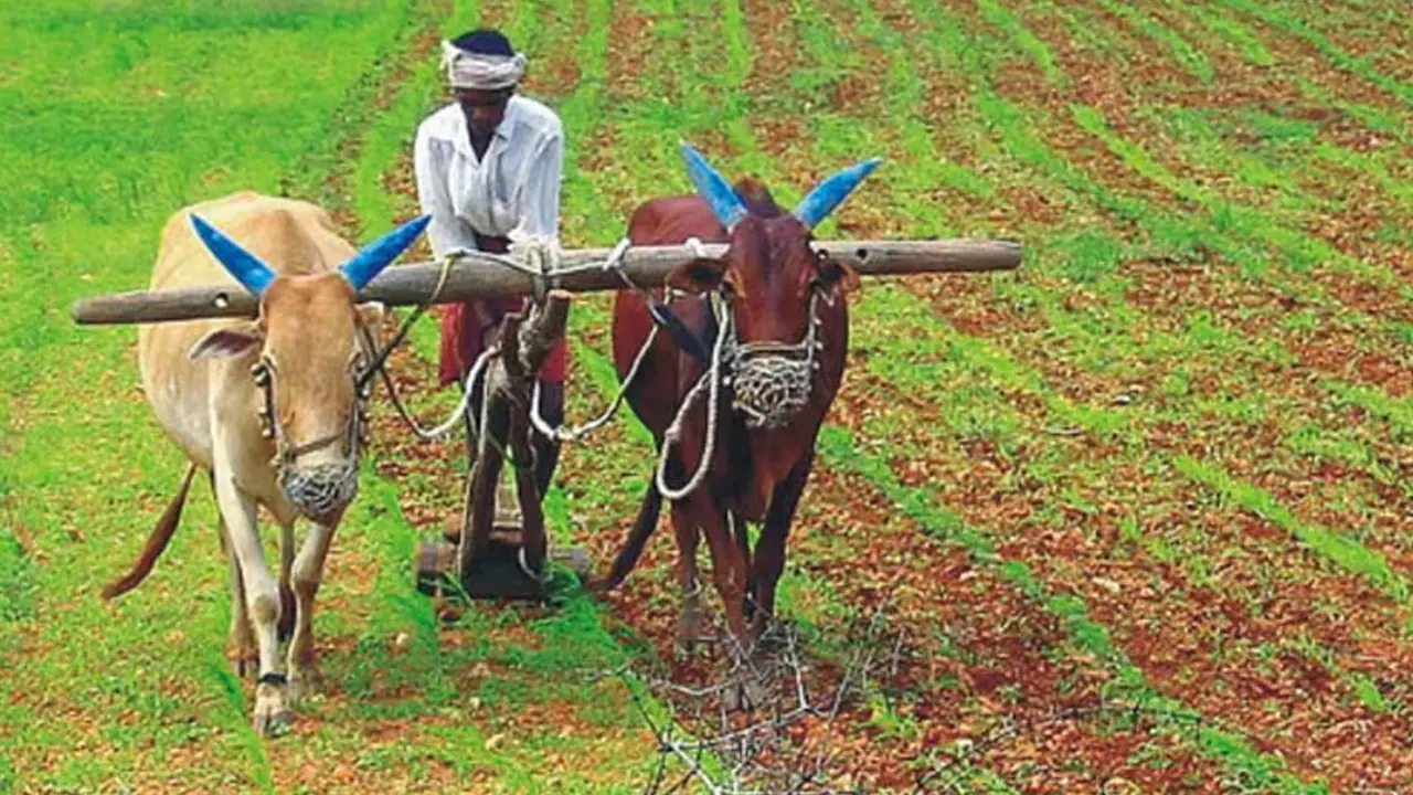 PM Kisan 21st Installment Update