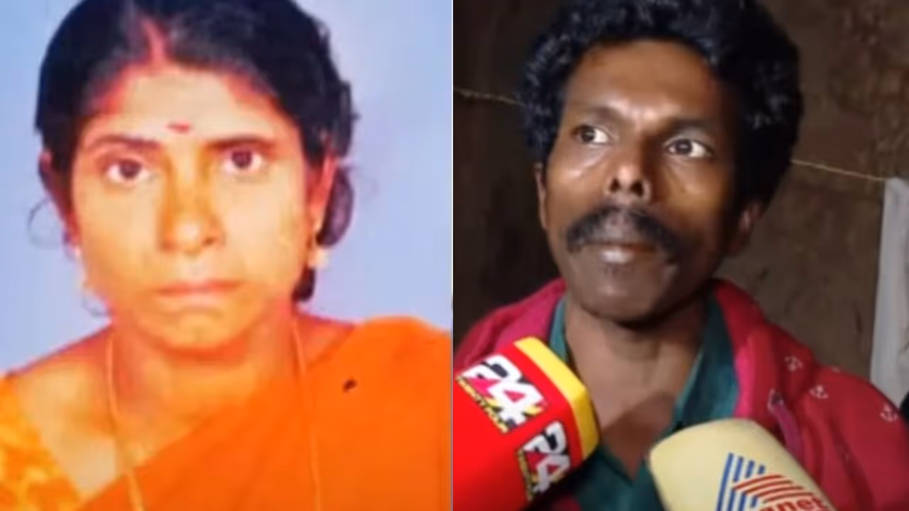 sita elephant attack