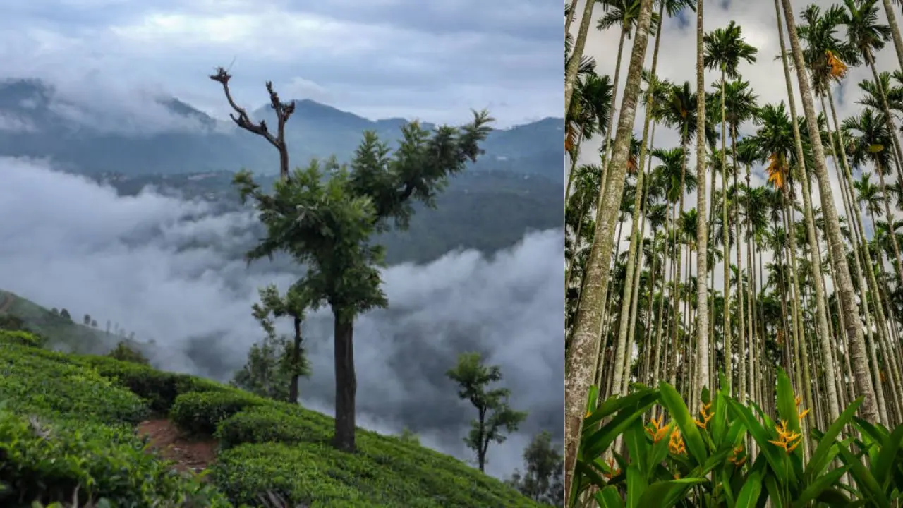 IRCTC 4 day Ooty Coimbatore tour package details