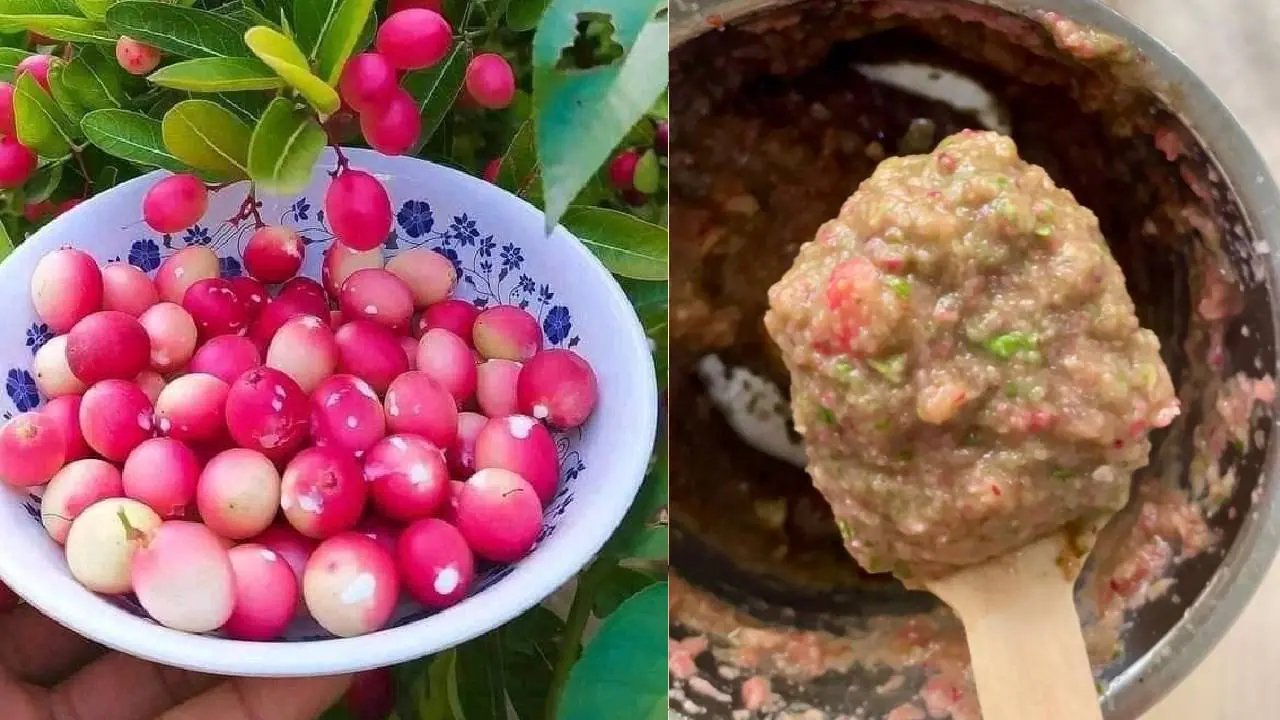  Karonda chutney 