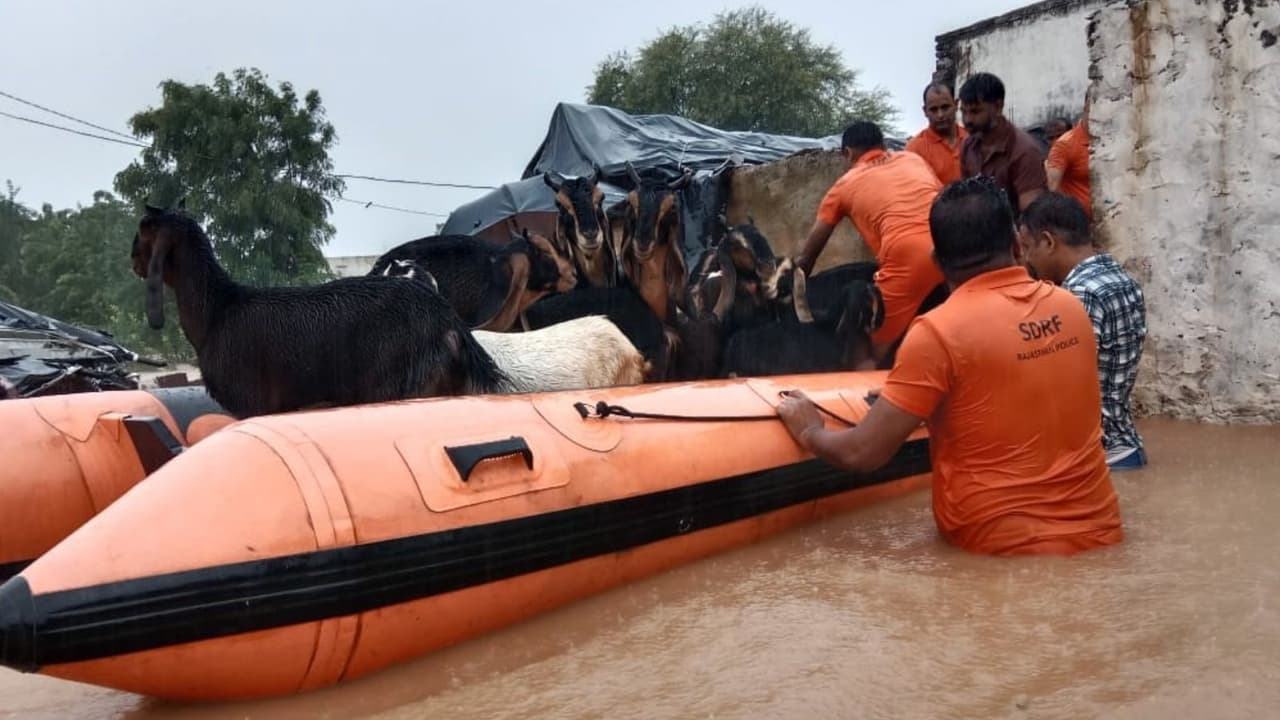 heavy rain in rajasthan heavy rain in rajasthan