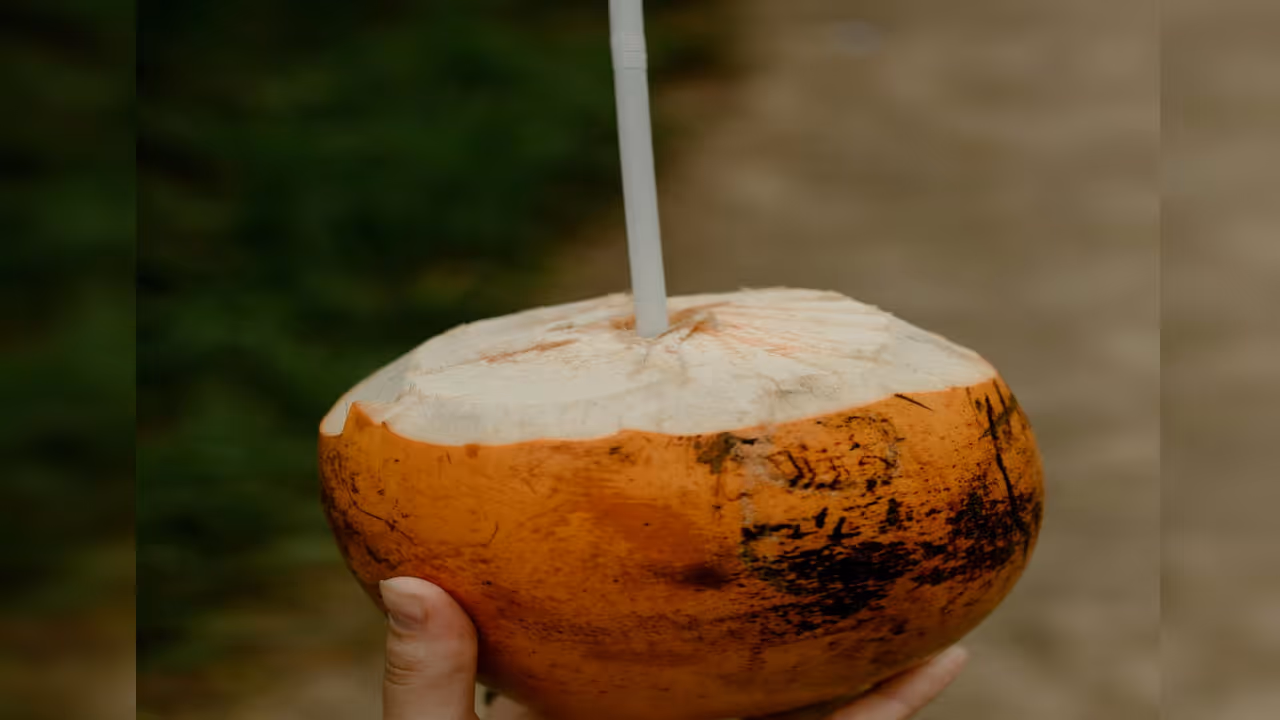 coconut water 