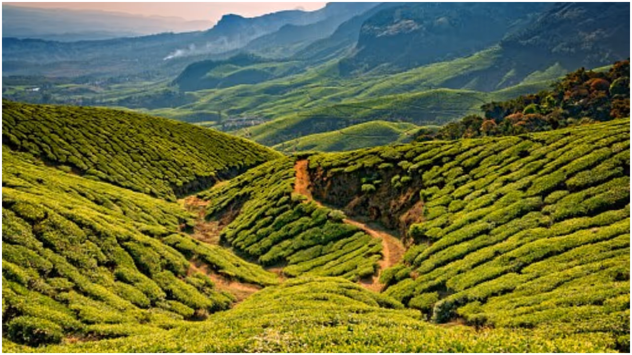 Munnar