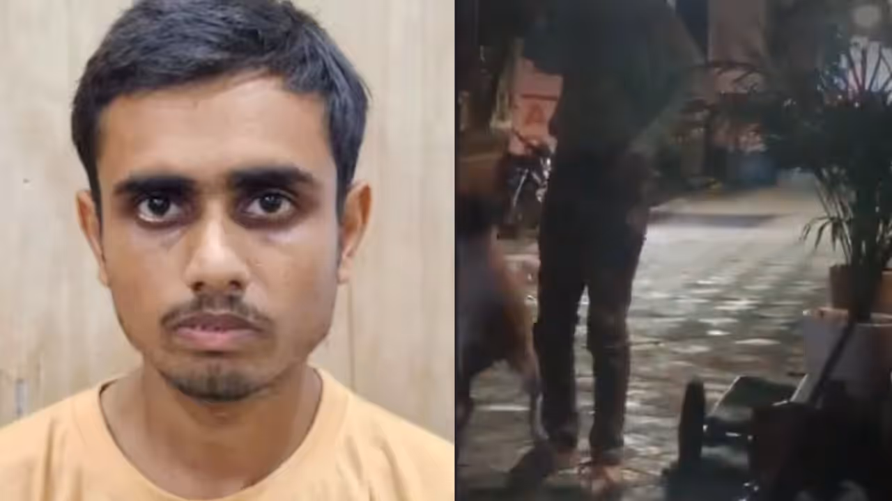 lucknow man arrested for cruelty with stray dog lucknow man arrested for cruelty with stray dog