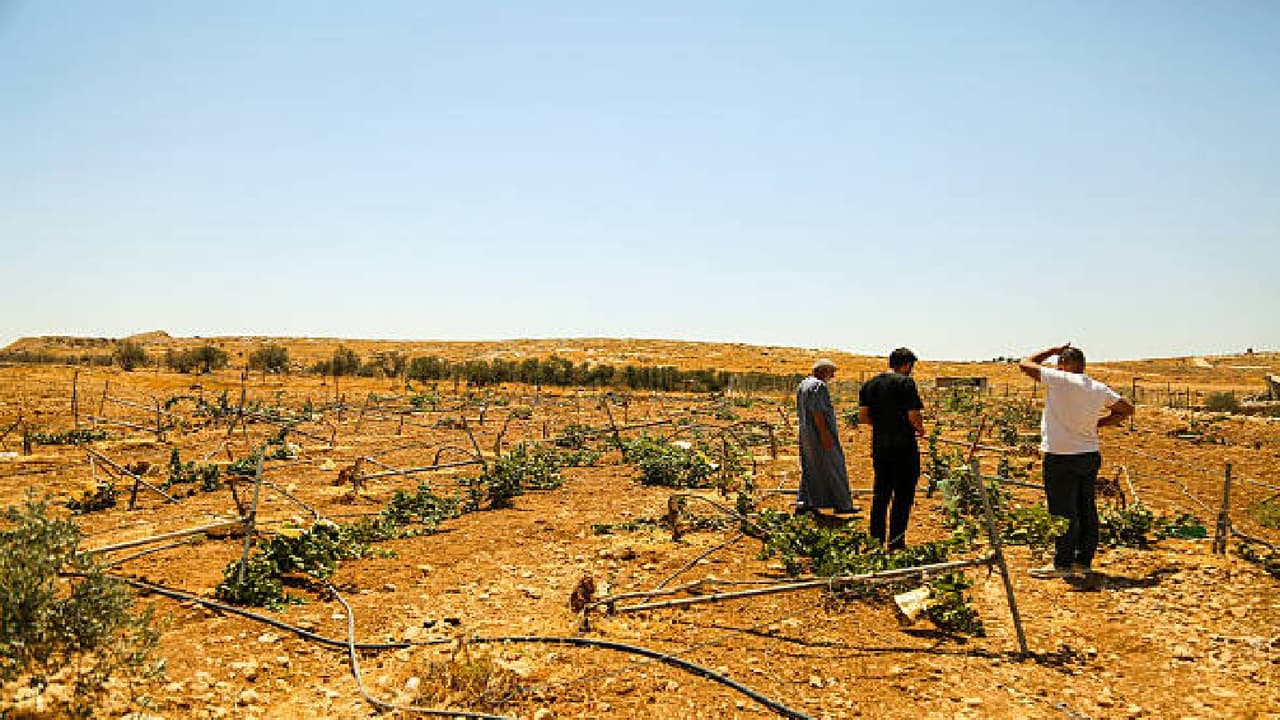 bihar land dispute resolution