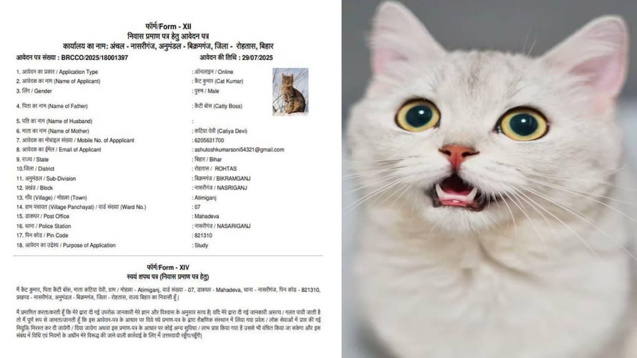 Bihar fake residential certificate