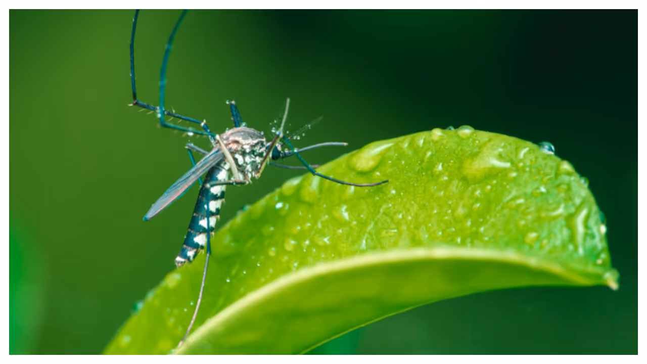 ನೀರು ನಿಲ್ಲದಂತೆ ಮಾಡಿ