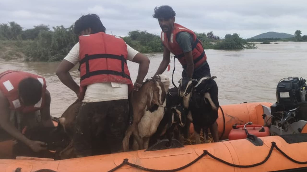 rajasthan heavy rain IMD rain alert Jaipur flood ndrf army rescue 
