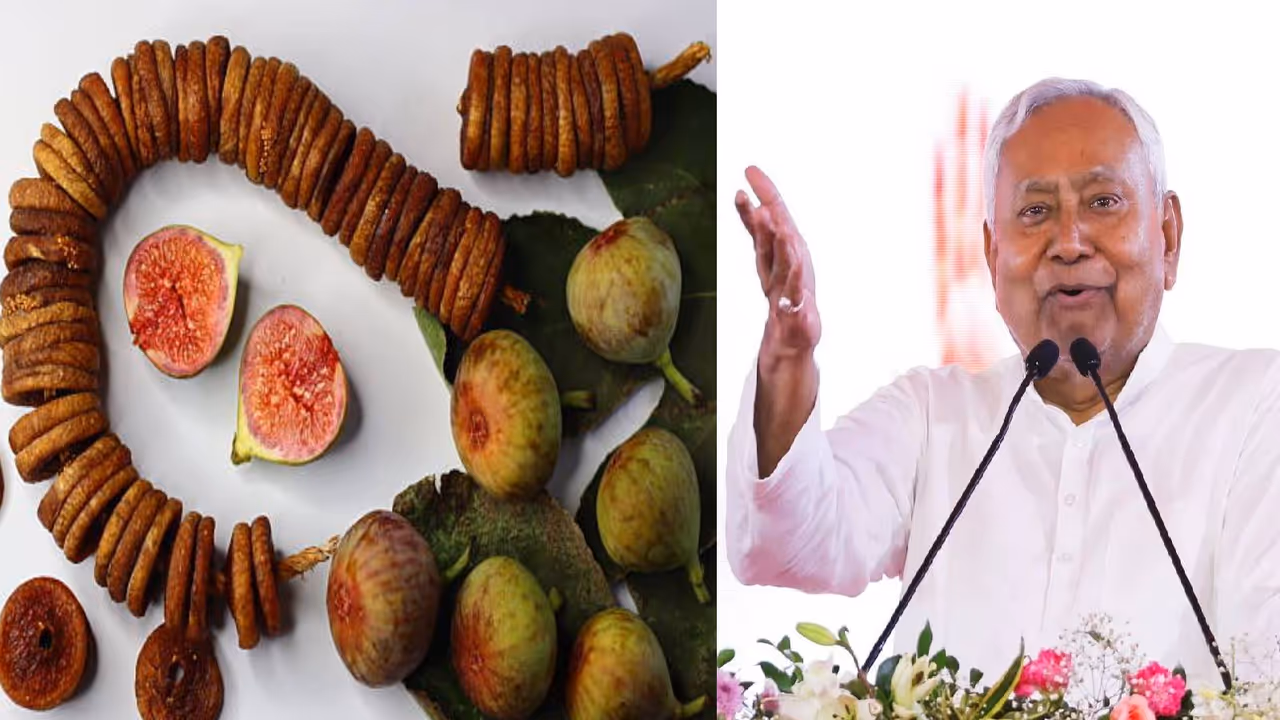 अंजीर फल विकास योजना से बिहार में किसान को फायदा