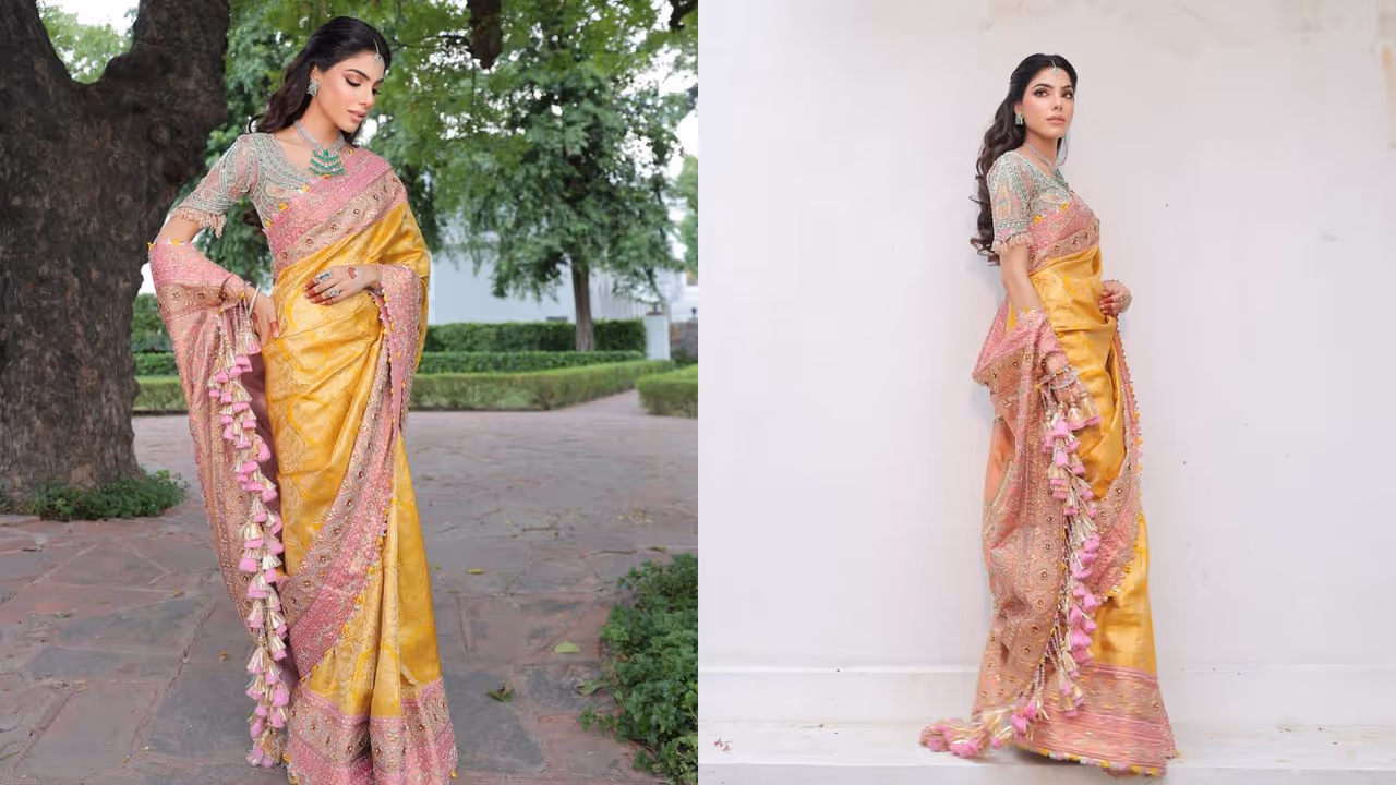 Beautiful Saree Pallu Tassels