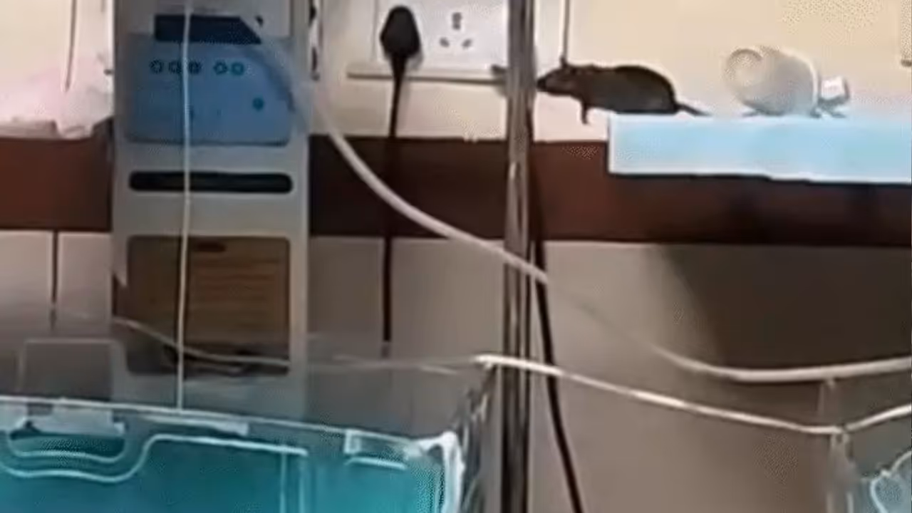 indore news indore news