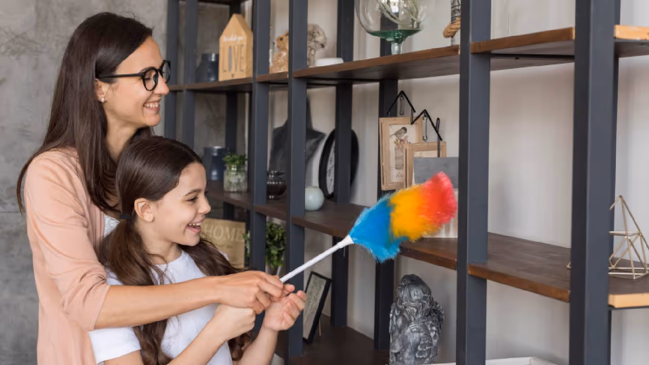 simple tricks to stop dust in home simple tricks to stop dust in home