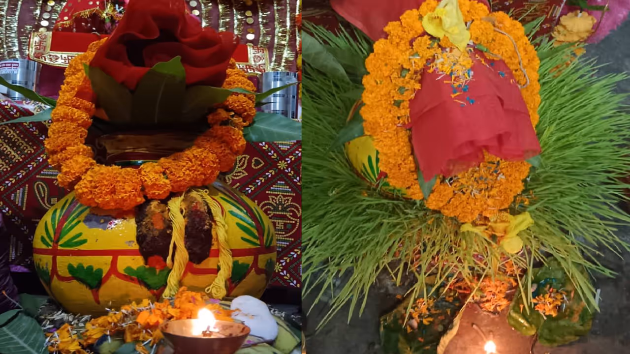 Navratri 2025 barley sowing method