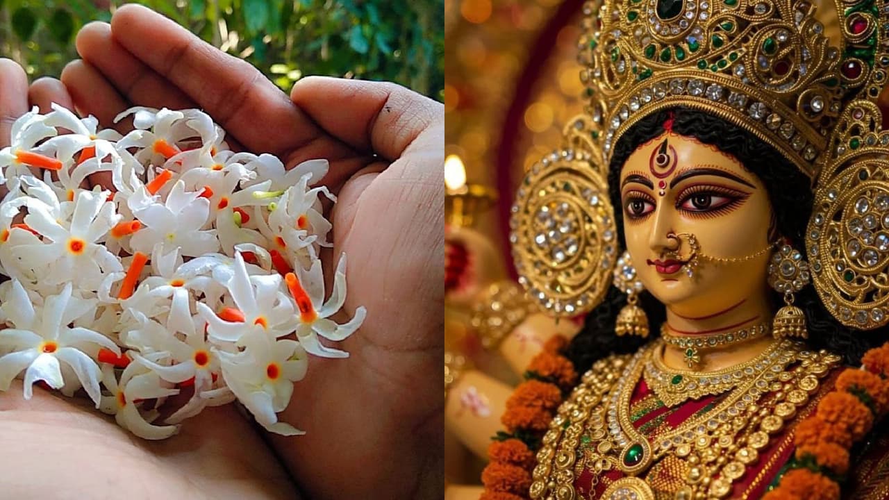 navratri 2025 harsingar navratri 2025 harsingar