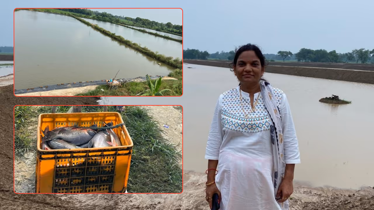 mira singh fish farming journey success story