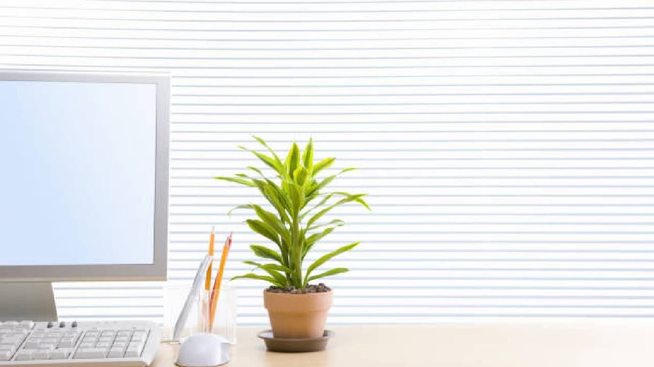 Feng Shui tips for office desk