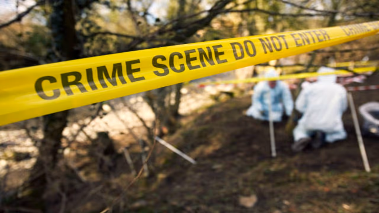 punjab crime news