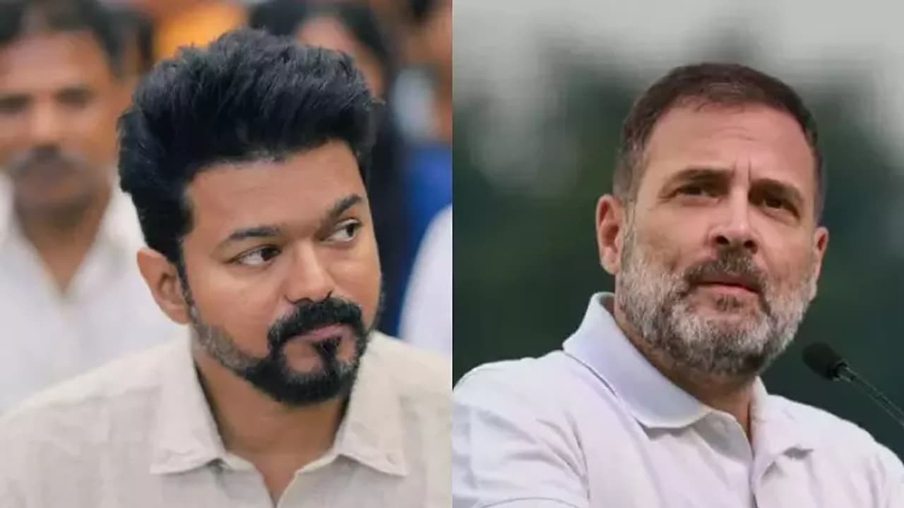 vijay Rahul gandhi vijay Rahul gandhi