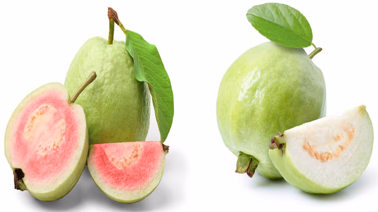 pink vs white guava
