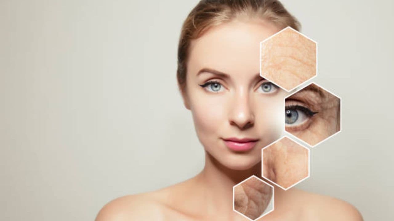 anti aging fact anti aging fact