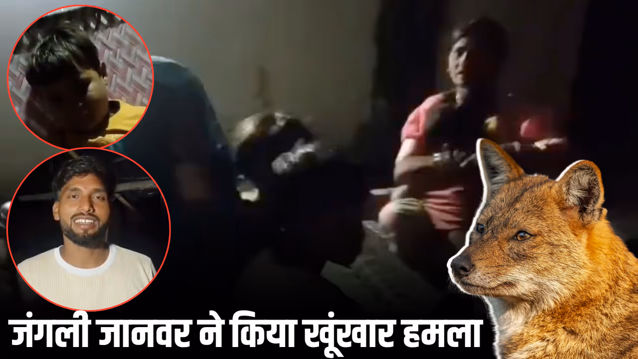 up kasganj wild jackal attack ramleela