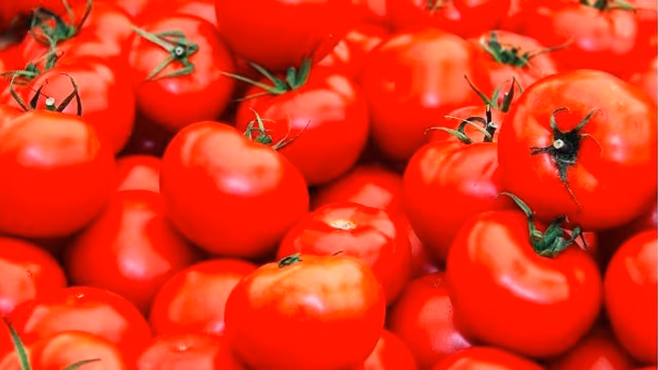 Home made tomato ketchup