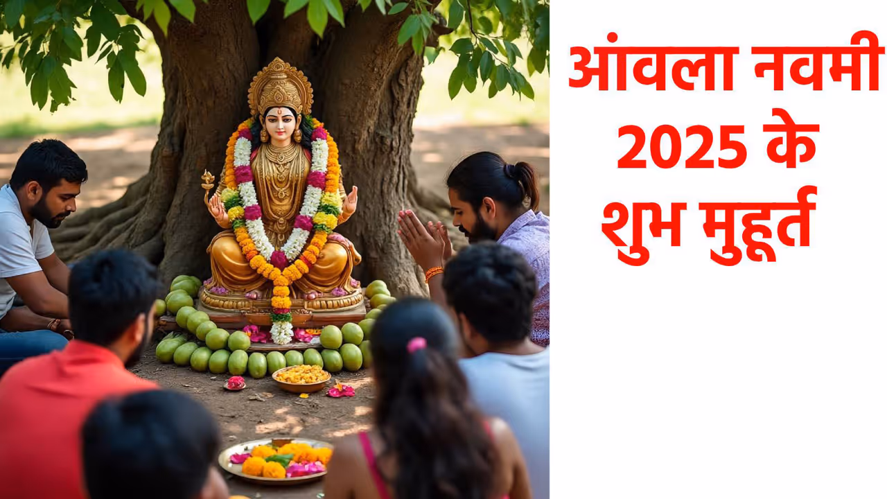 Amla Navami 2025