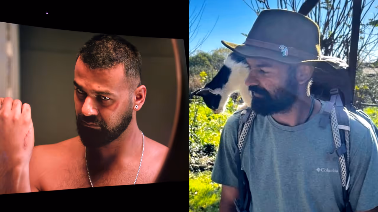 pranav mohanlals star value increases after dies irae box office success