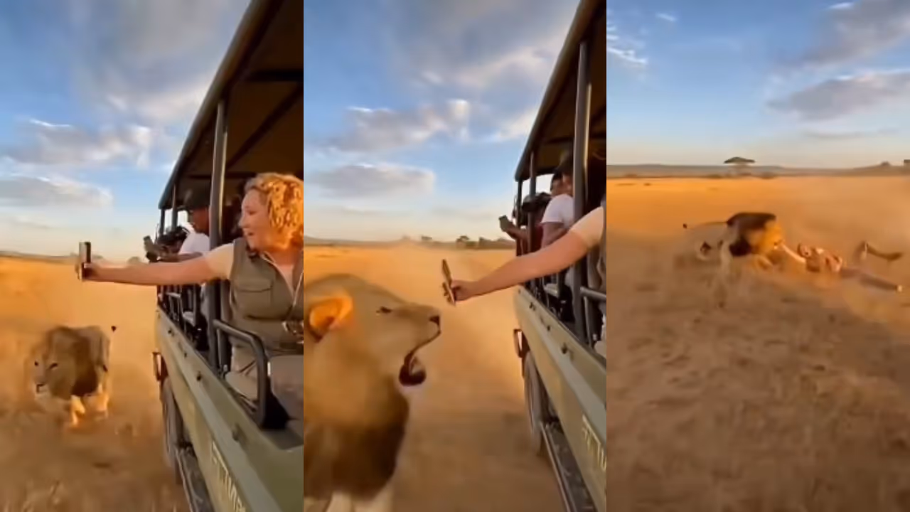 Viral AI Generated Video