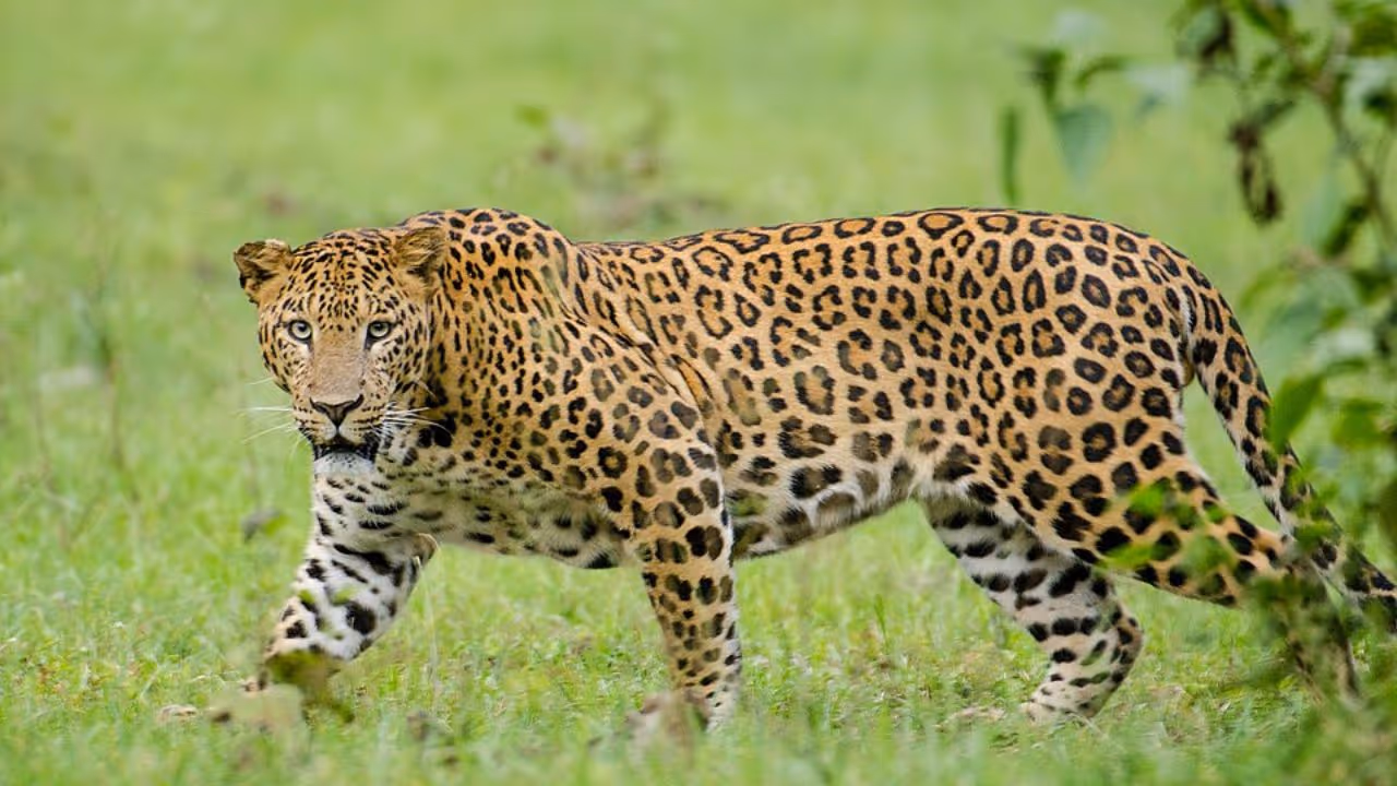 Maharashtra Maharashtra