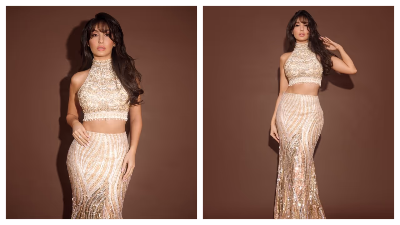  फिटेड लॉन्ग एंब्रॉयडरी स्कर्ट