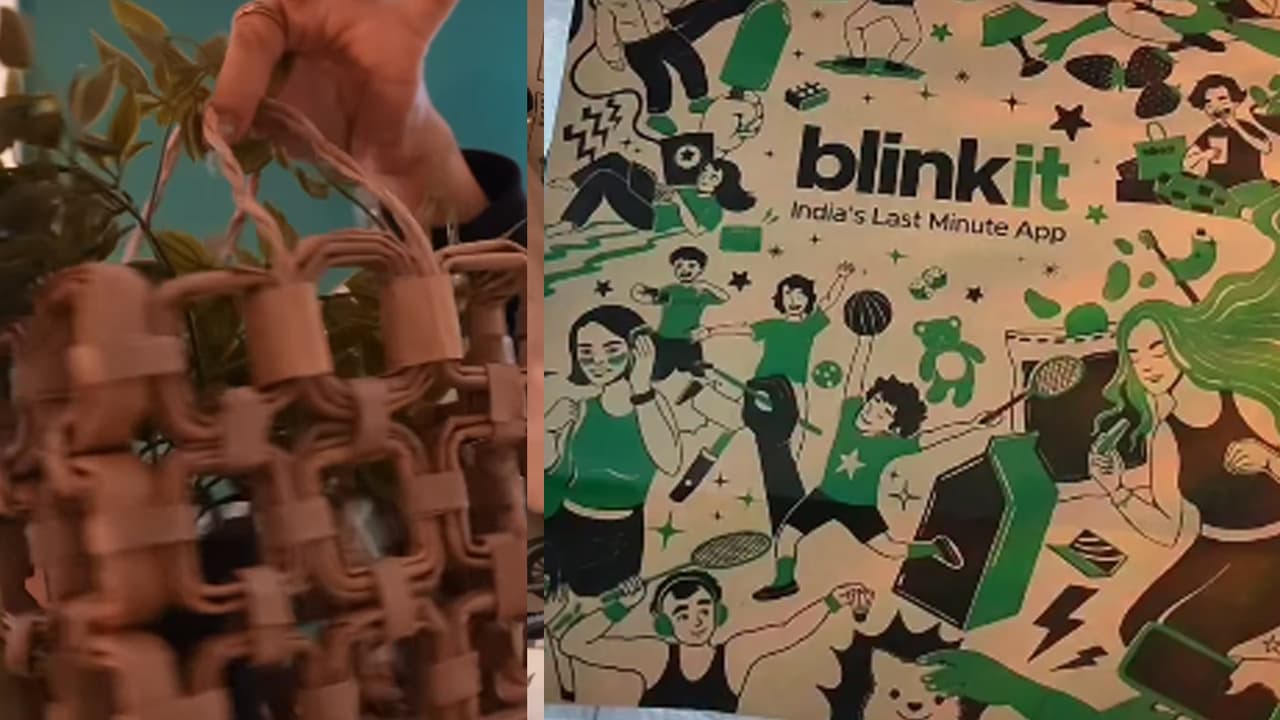 Blinkit paper bag reuse ideas