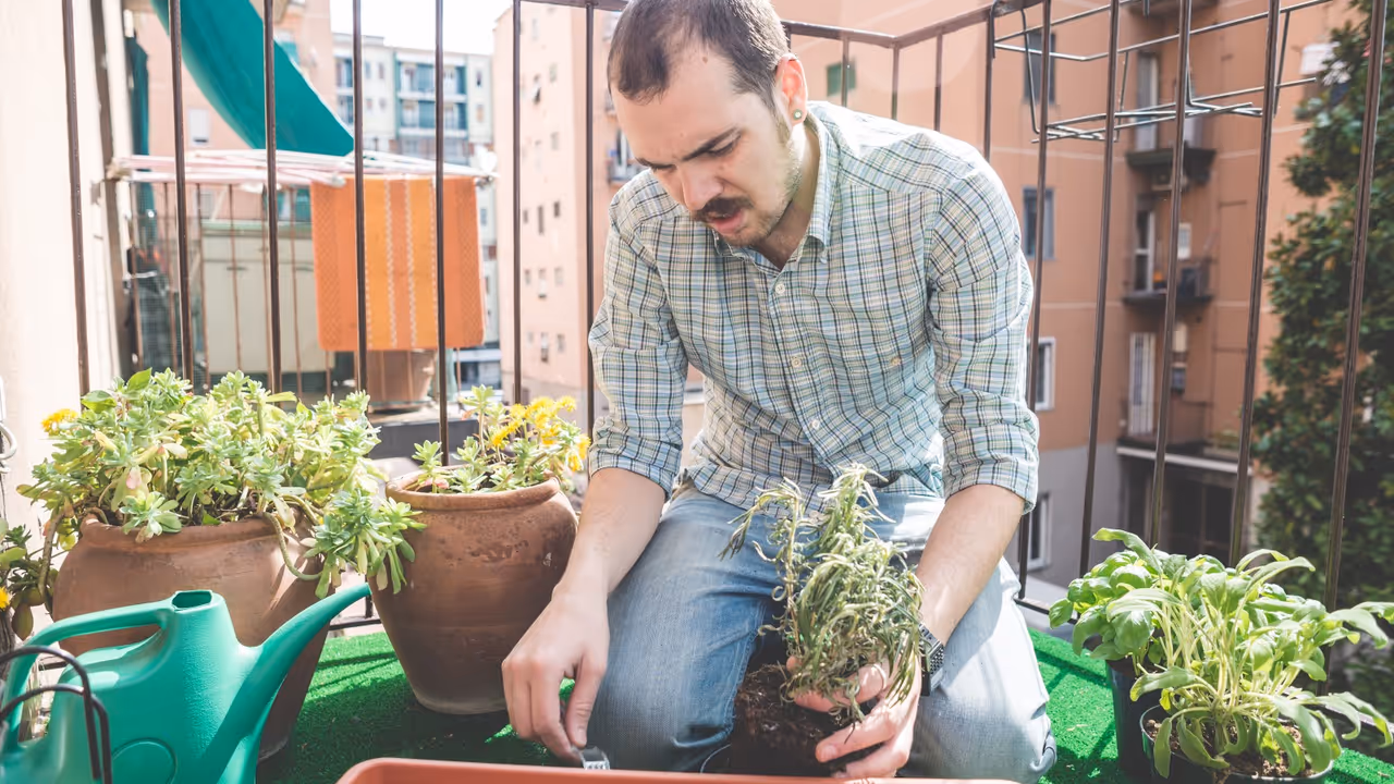 Kitchen garden at home ideas india Kitchen garden at home ideas india