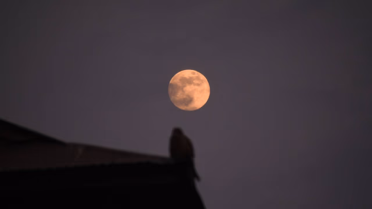 Margashirsha Purnima 2025