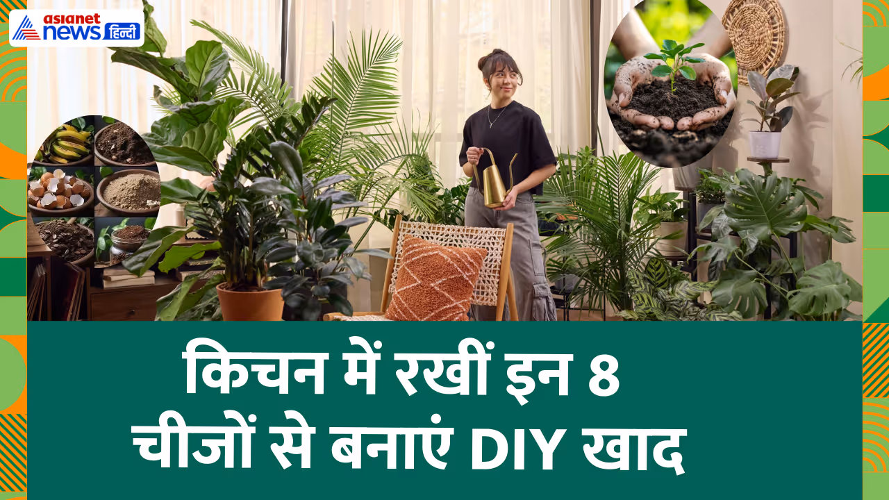 organic fertilizer for plants