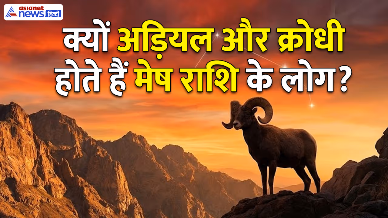 Mesh Rashi Nature Mesh Rashi Nature