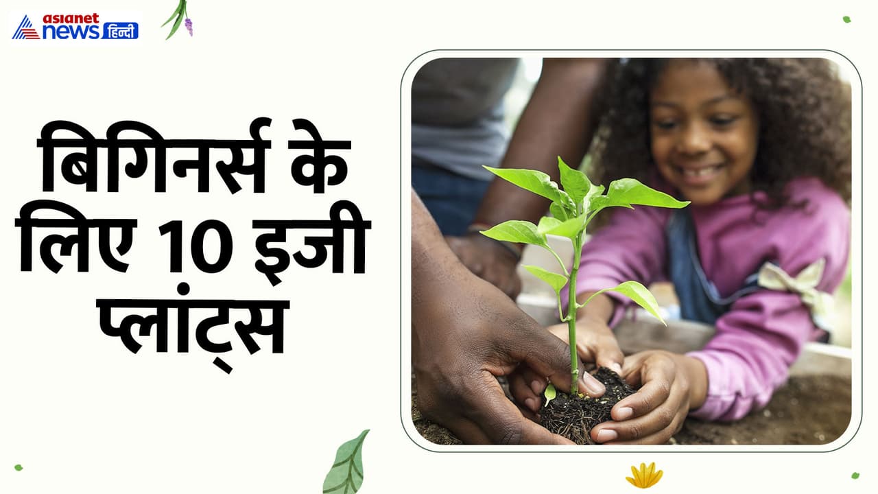 Easy plants for beginners