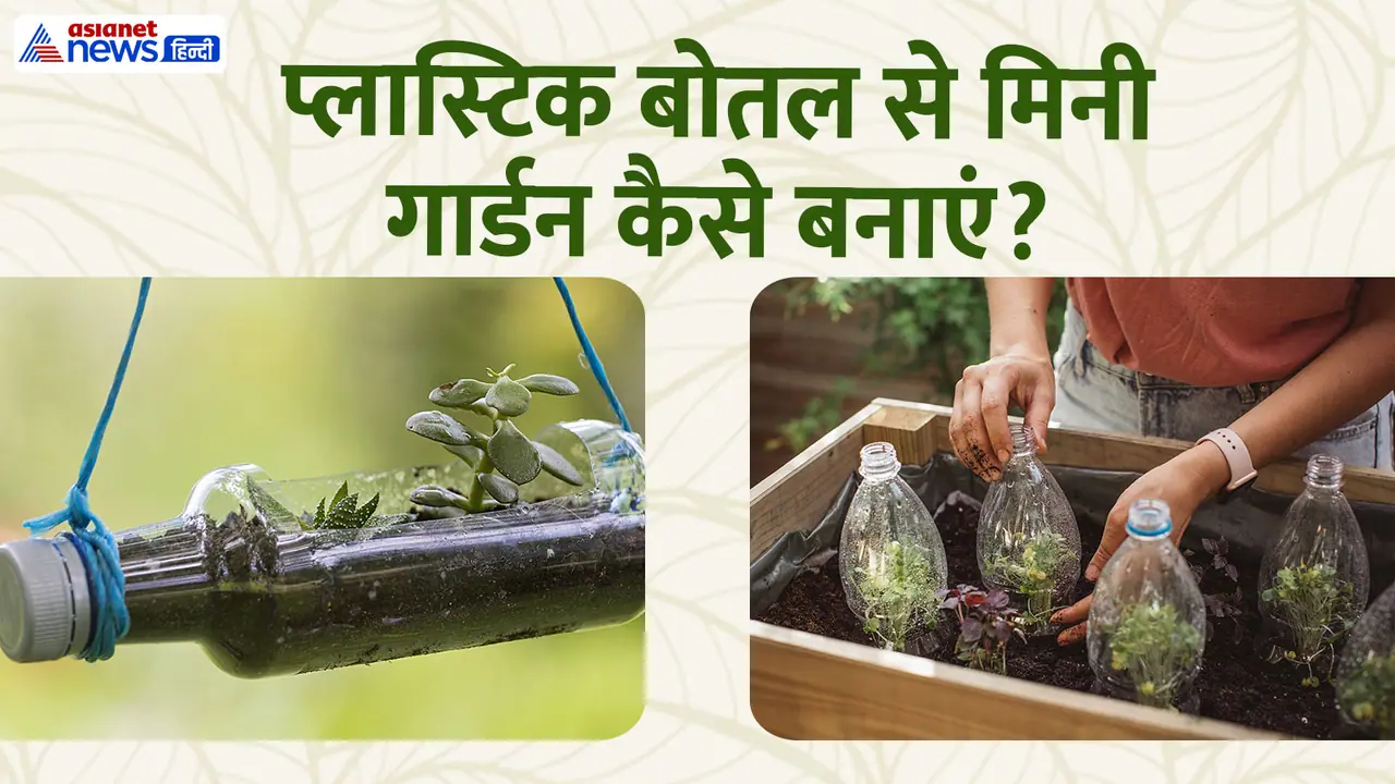 Mini garden with plastic bottles Mini garden with plastic bottles