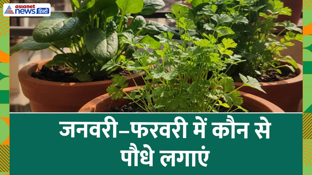 Winter Gardening Guide Winter Gardening Guide