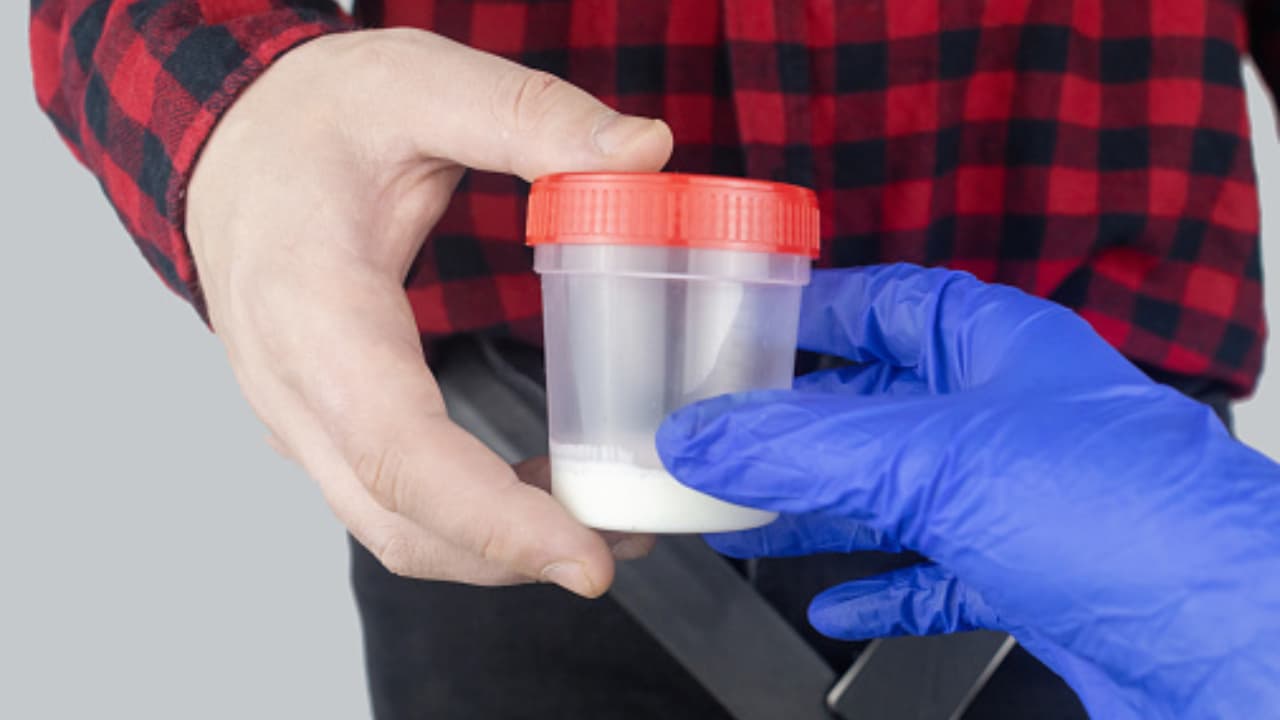 sperm donation sperm donation