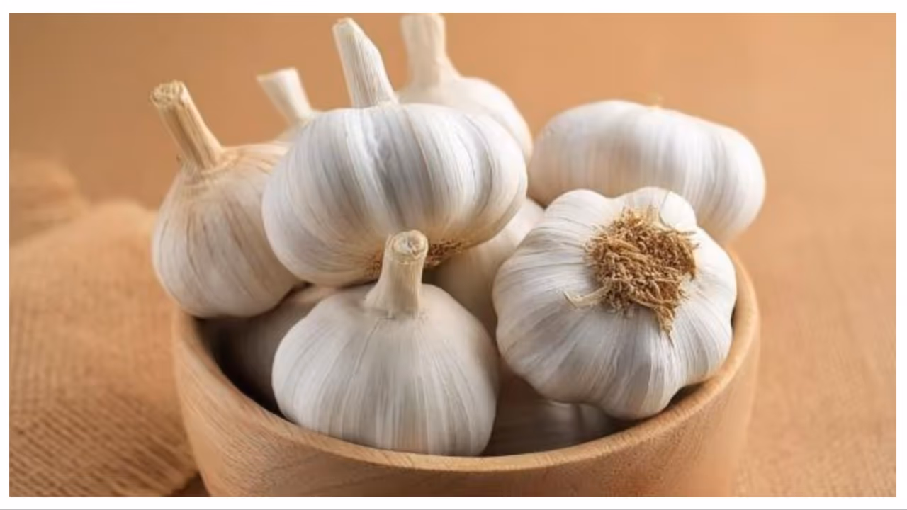 garlic garlic