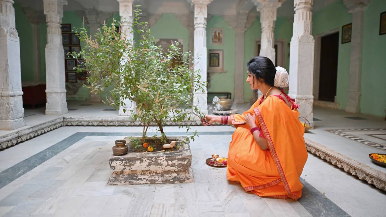 Tulsi Pujan Diwas 2025 Tulsi Pujan Diwas 2025